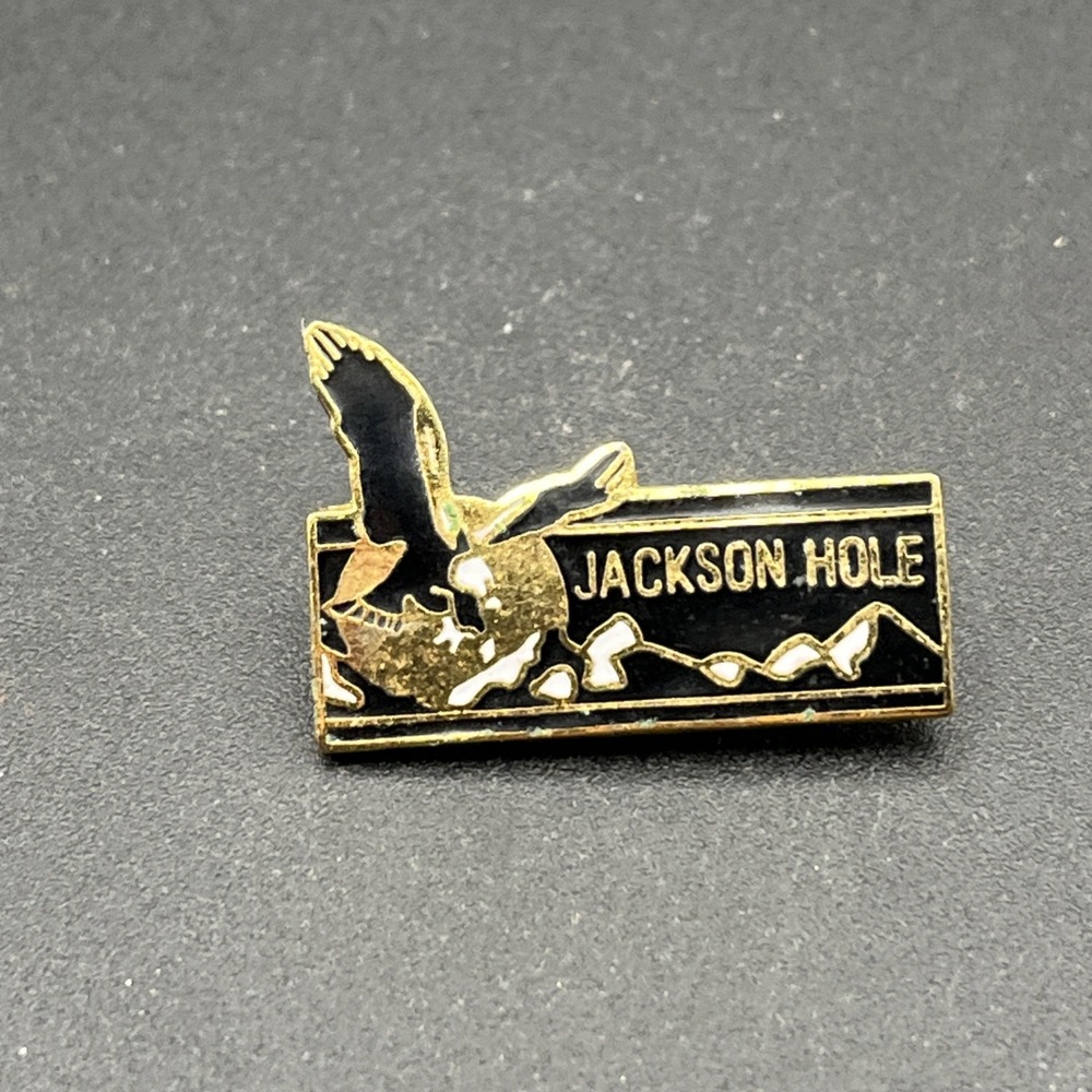 Jackson Hole Wyoming Bald Eagle United States Of America Lapel Hat Pin - Picture 1 of 3